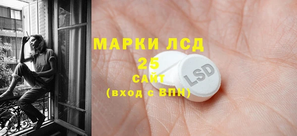 стаф Верея