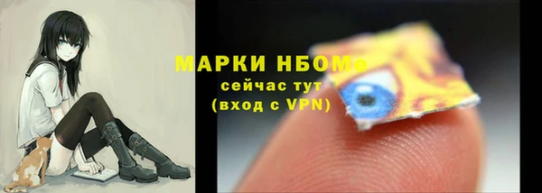 стаф Верея