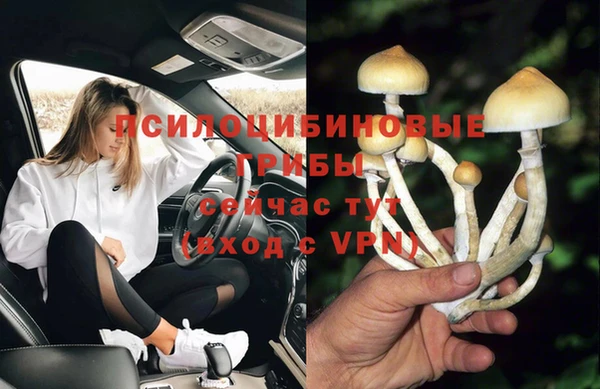 бошки Бугульма