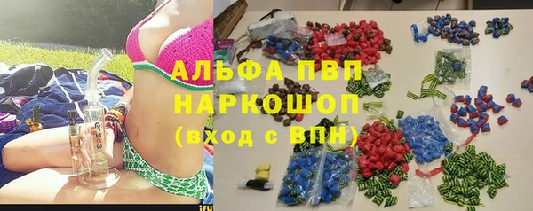 стаф Верея