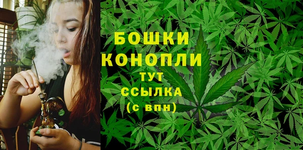 стаф Верея