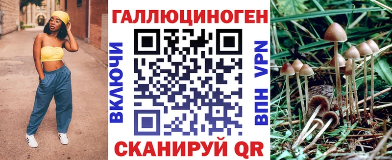 Купить закладки  Данилов  Псилоцибиновые грибы ЛСД 